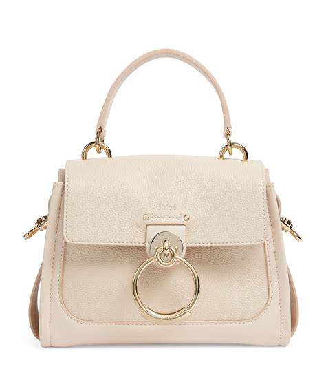 chloe tess day bag.